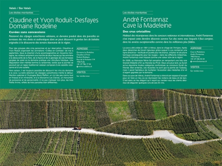 Rebbau und Weingenuss Gaumenfreuden in Weinbergen